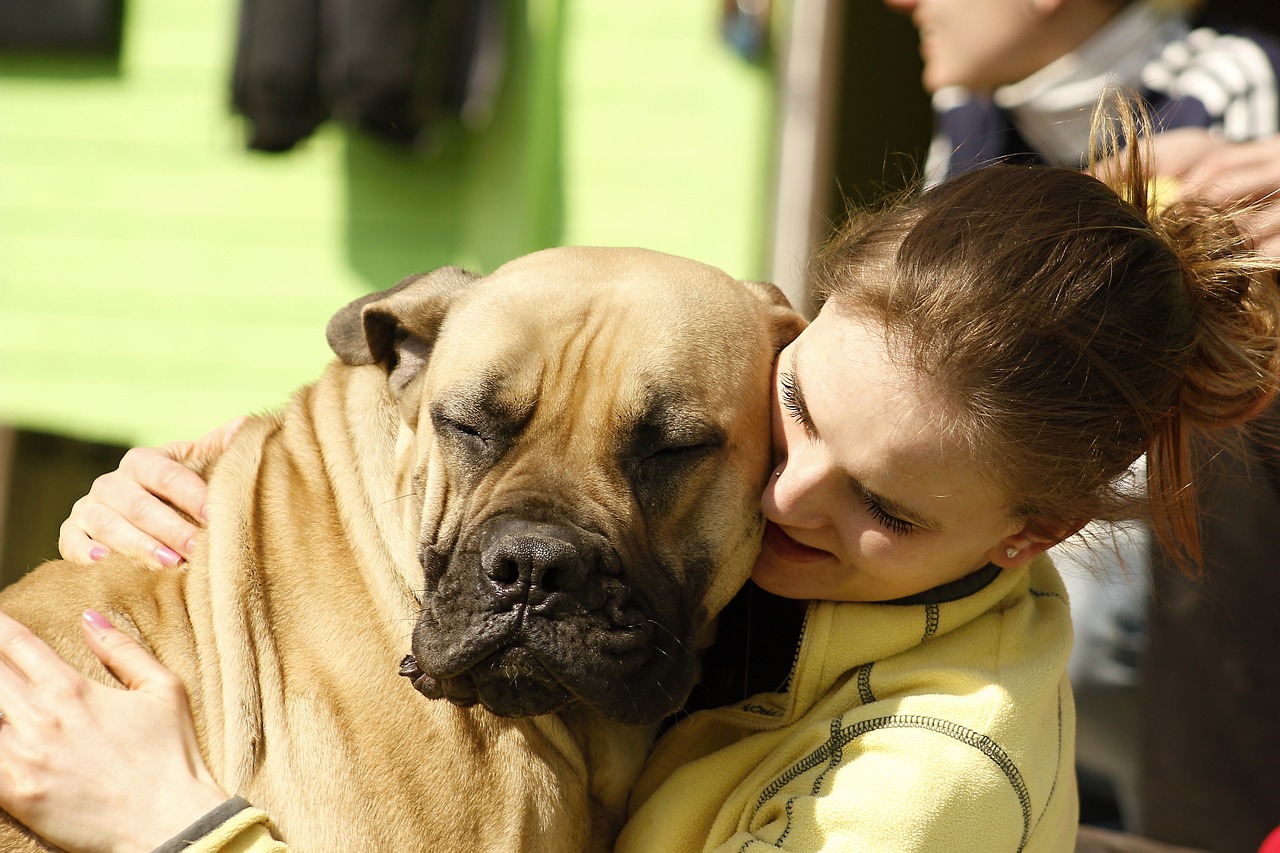 dog, girl, burgundy-1302364.jpg