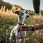 An image capturing the essence of Italian dog training, showcasing a vibrant Italian countryside backdrop