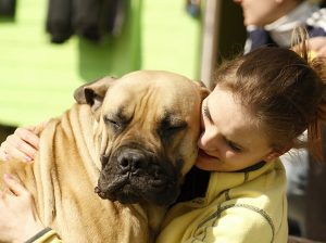 dog, girl, burgundy-1302364.jpg